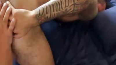 Explore Money Gay Categories in One Place